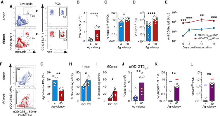 Figure 6