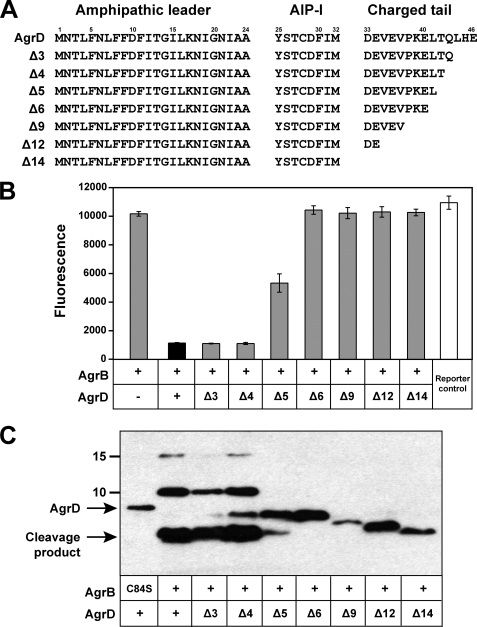 FIGURE 4.