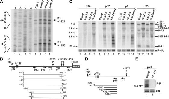 Figure 6.