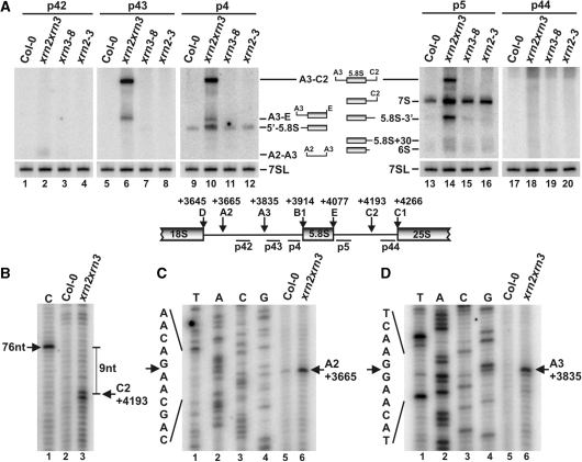 Figure 3.