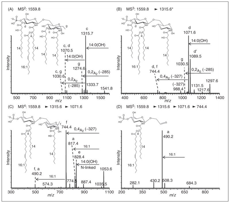 Figure 5