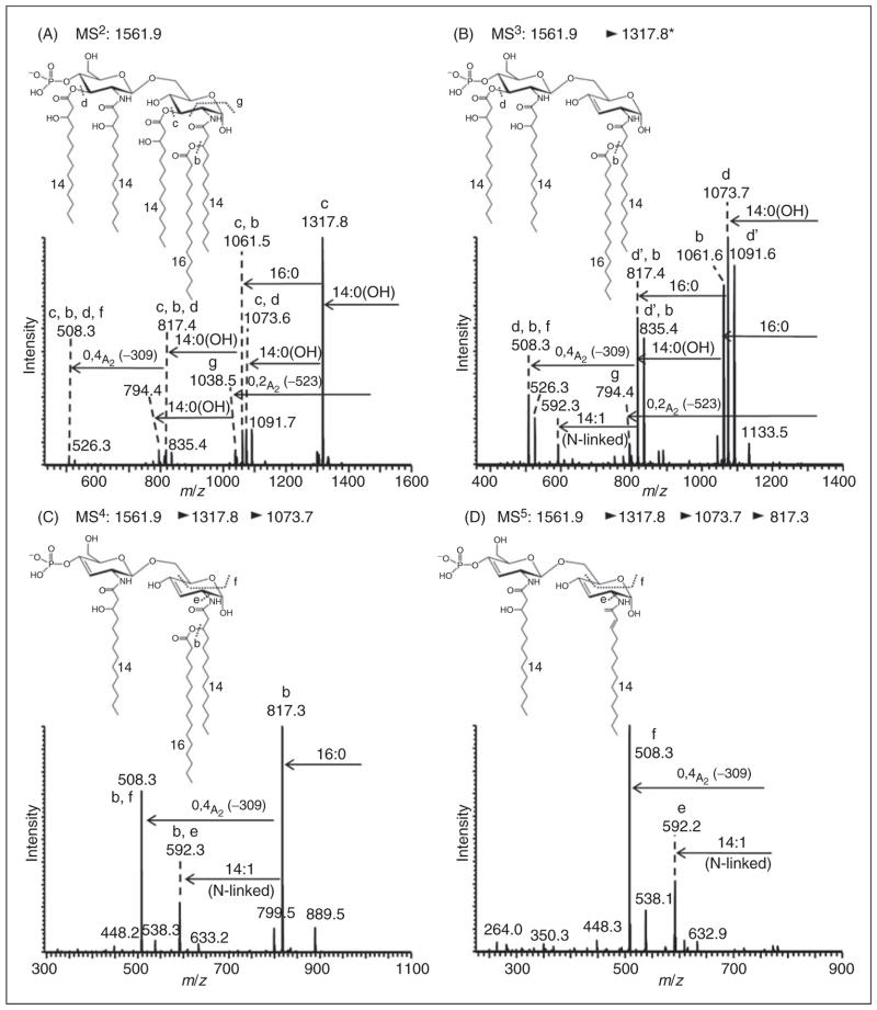 Figure 6