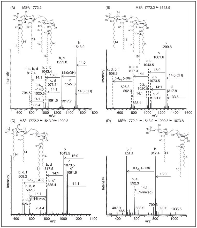 Figure 7