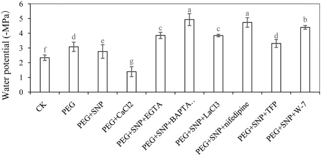 FIGURE 7