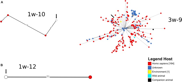 FIGURE 3