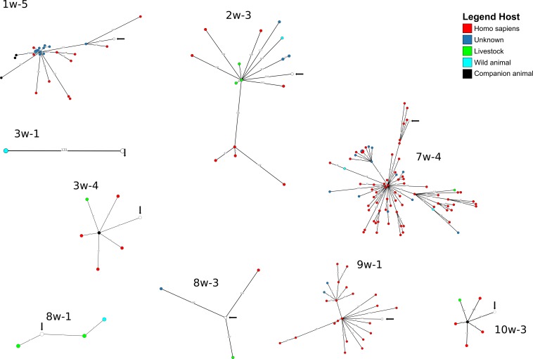 FIGURE 4