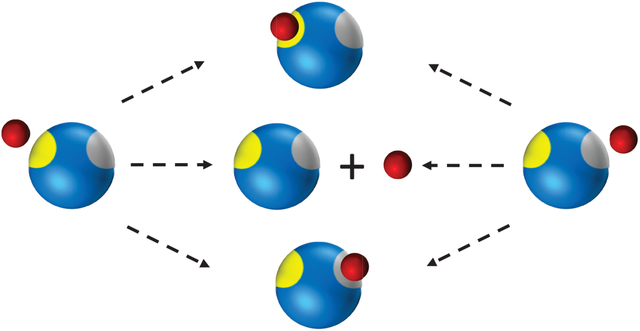 graphic file with name nihms-1591045-f0001.jpg