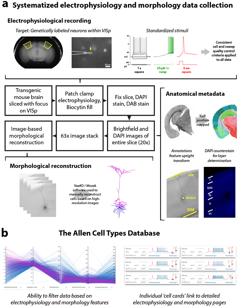 Figure 1: