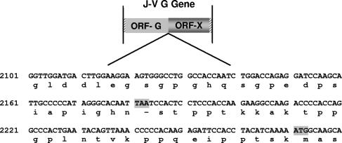 FIG. 2.