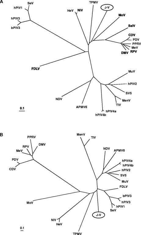 FIG. 7.