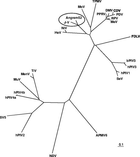 FIG. 8.