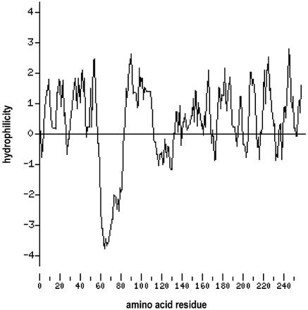 FIG. 5.