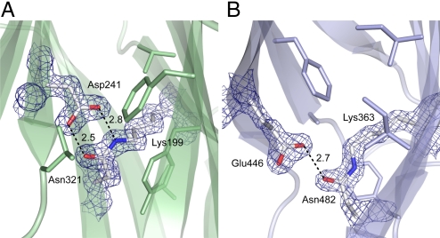 Fig. 2.