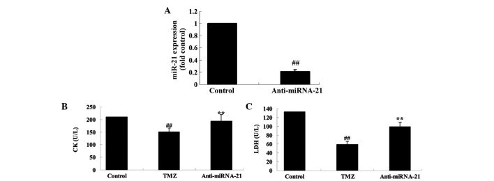 Figure 7.