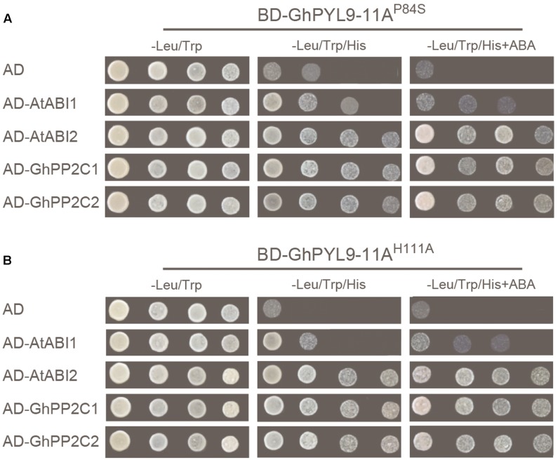 FIGURE 4