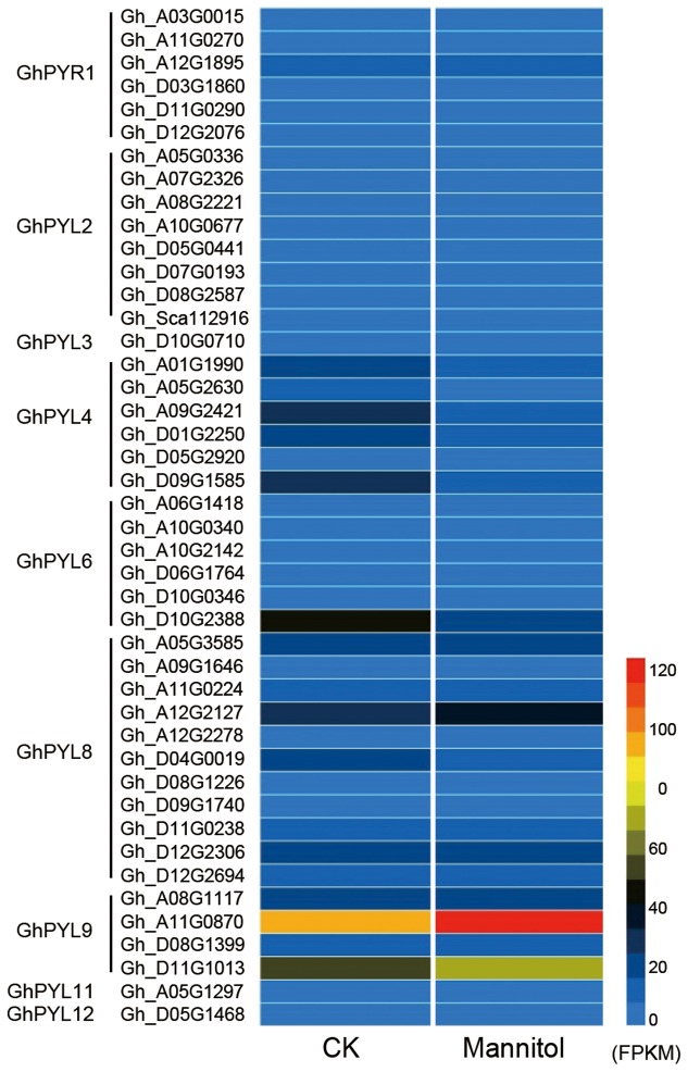 FIGURE 1