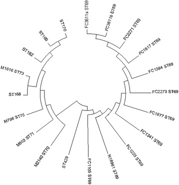 Fig. 2