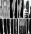 Fig. 2A–I