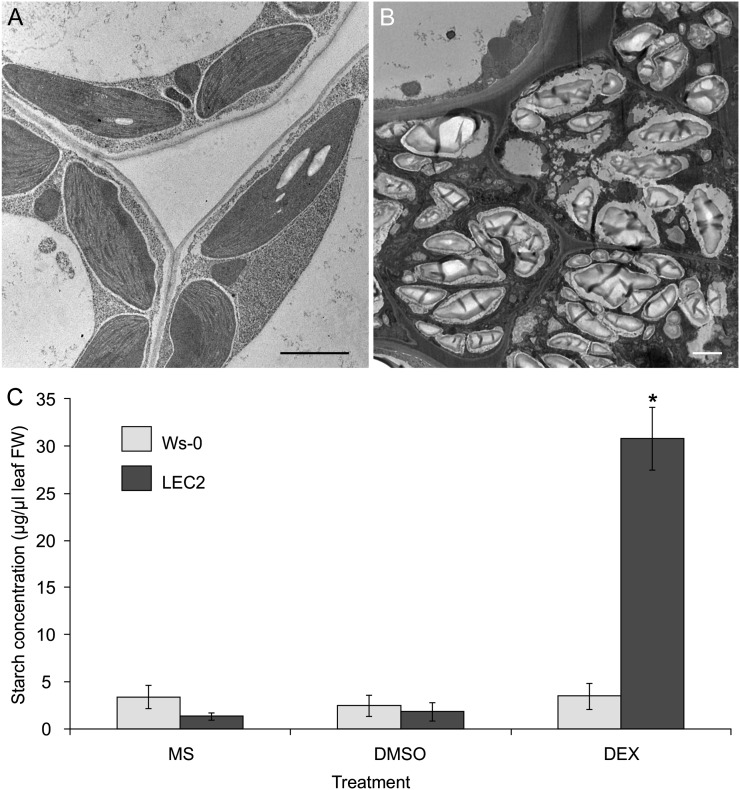 Figure 4.