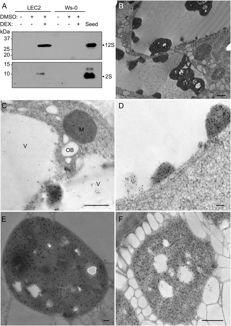 Figure 5.