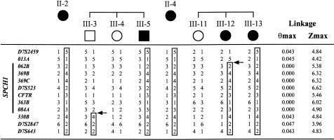 Figure  3