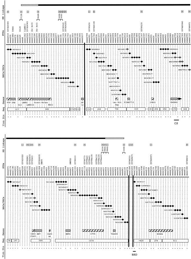 Figure  2