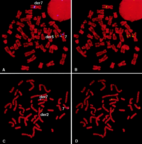 Figure  4