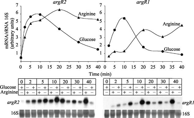 FIG. 7.