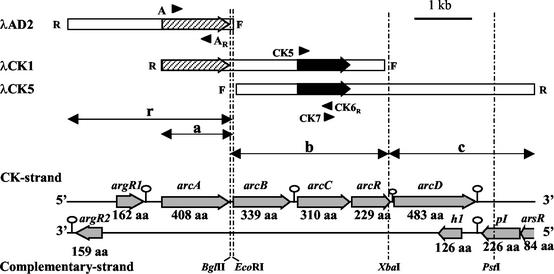 FIG. 2.