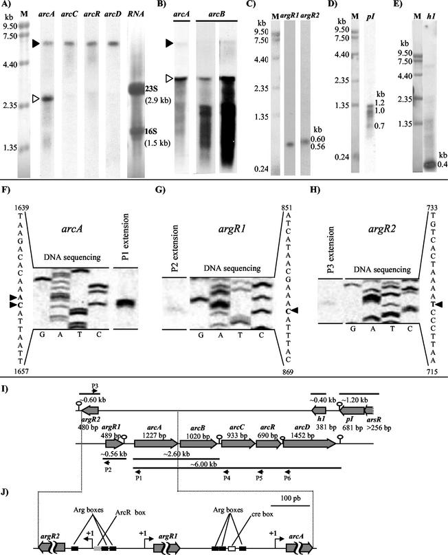 FIG. 5.