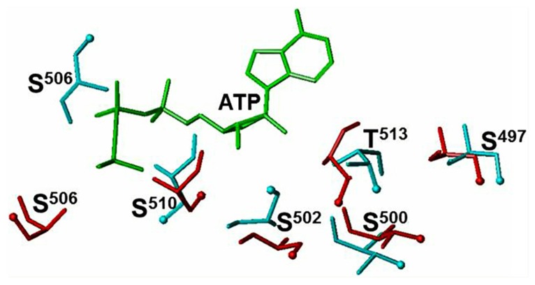 FIGURE 1