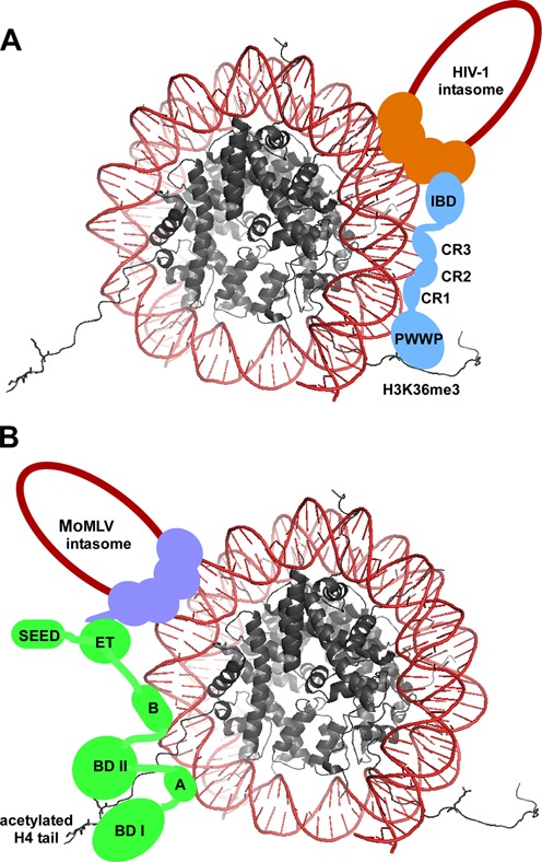 Figure 4.