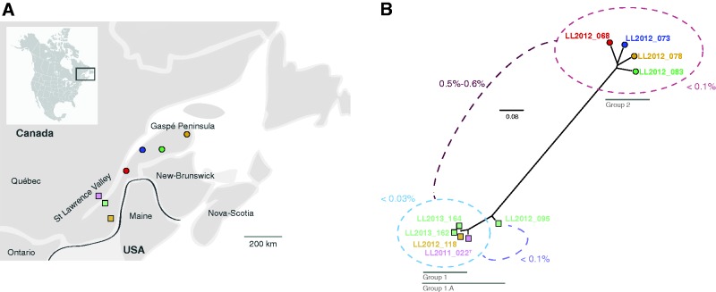 Fig. 2.—