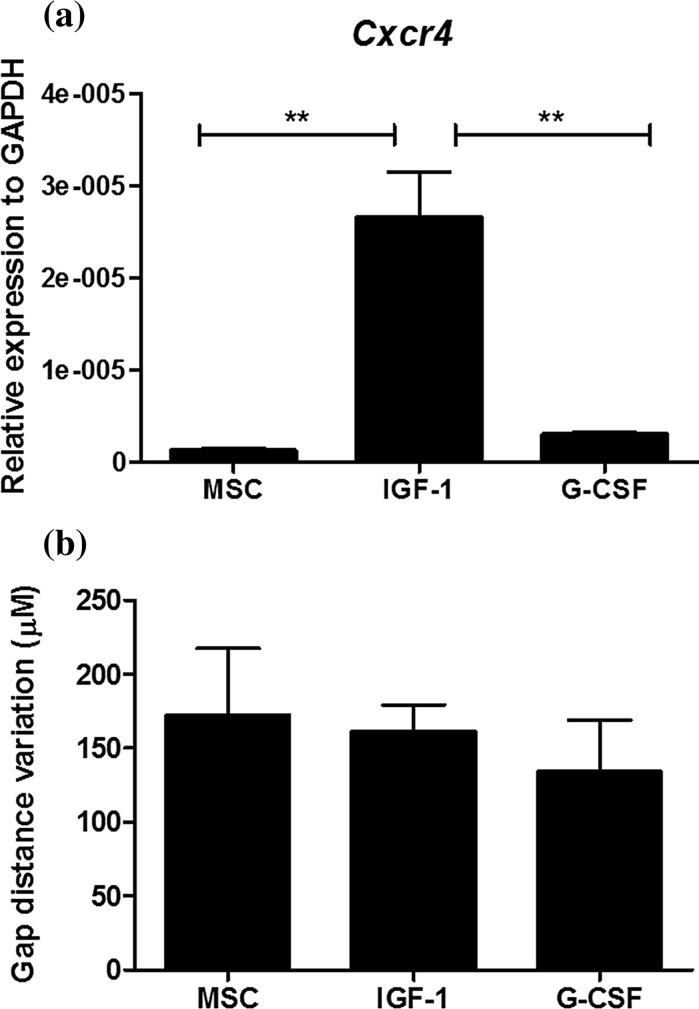 Fig. 7