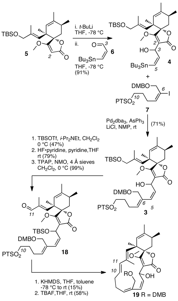 Scheme 4