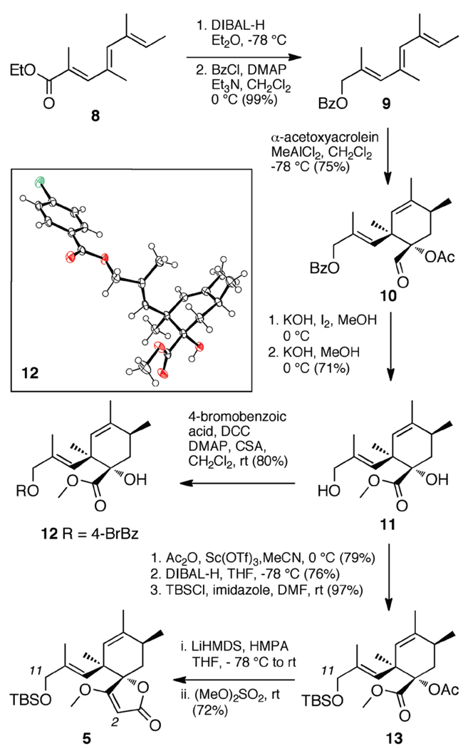 Scheme 2