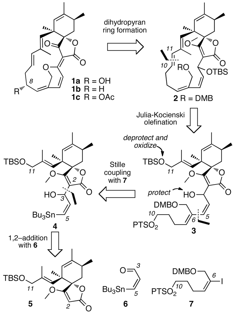 Scheme 1