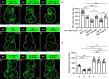 Figure 3—figure supplement 3.