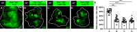Figure 1—figure supplement 2.