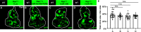 Figure 3—figure supplement 1.