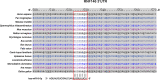 Figure 5—figure supplement 6.