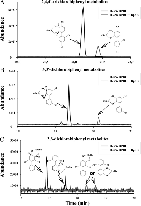 FIGURE 7.