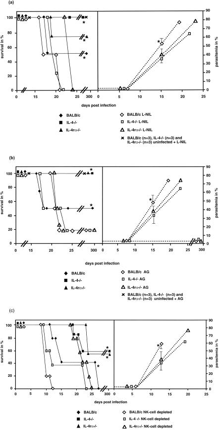 FIG.3.