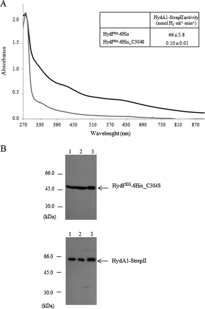 FIGURE 9.