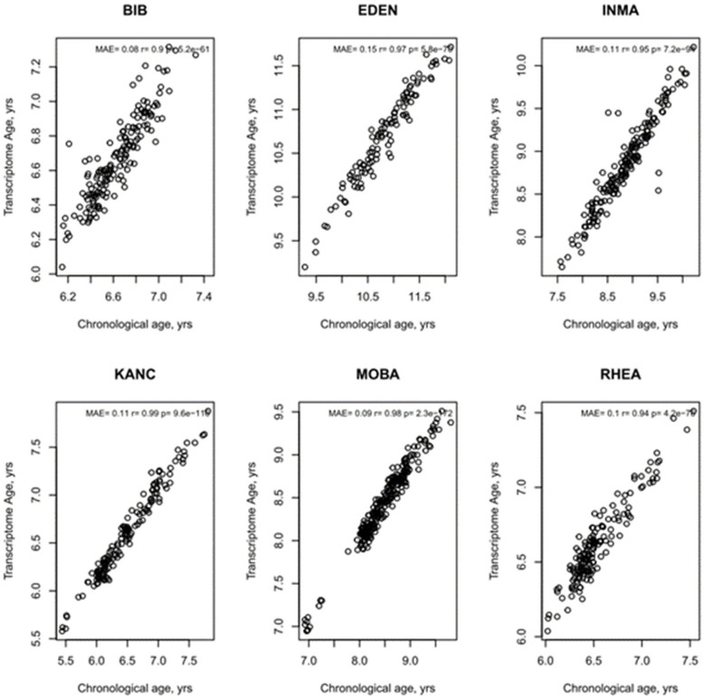 Figure 2—figure supplement 2.