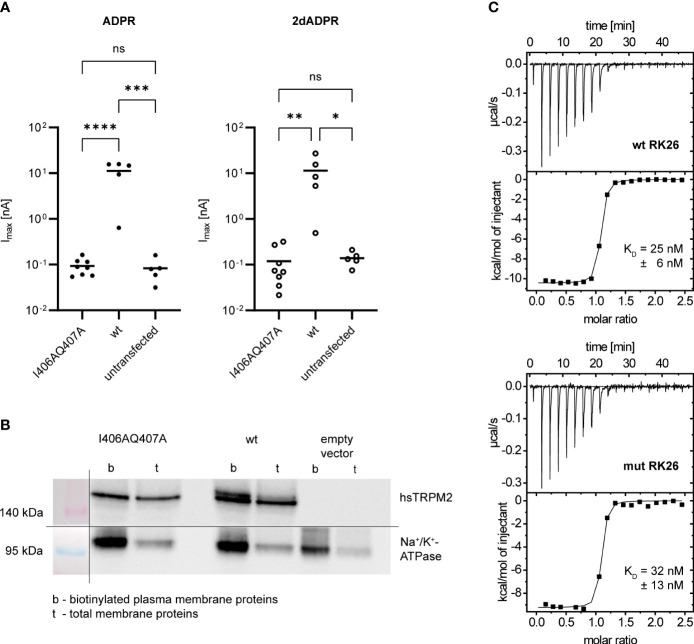 Figure 3