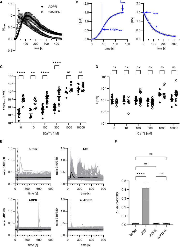 Figure 2