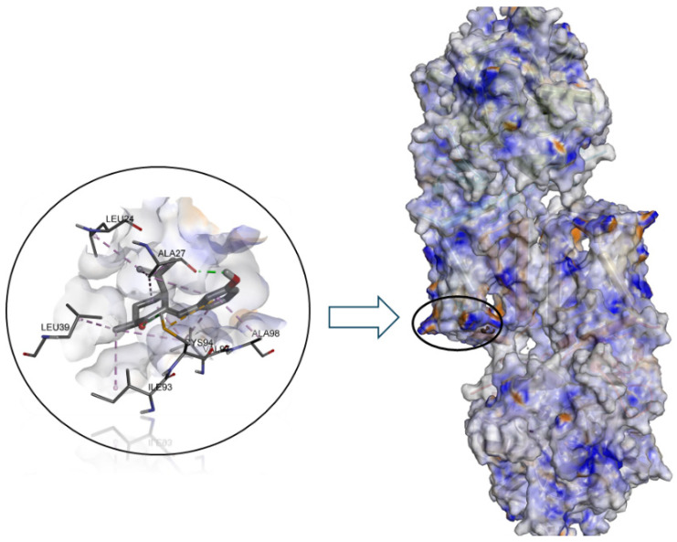 Figure 5