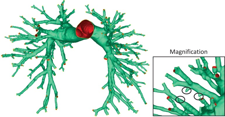 Fig. 4