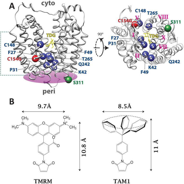 Fig. 1